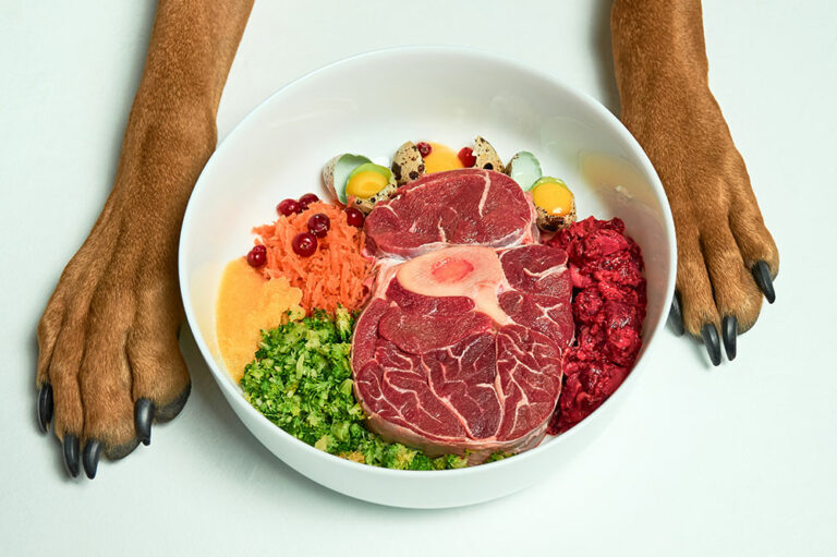 4 simple tips to choose healthy dog food