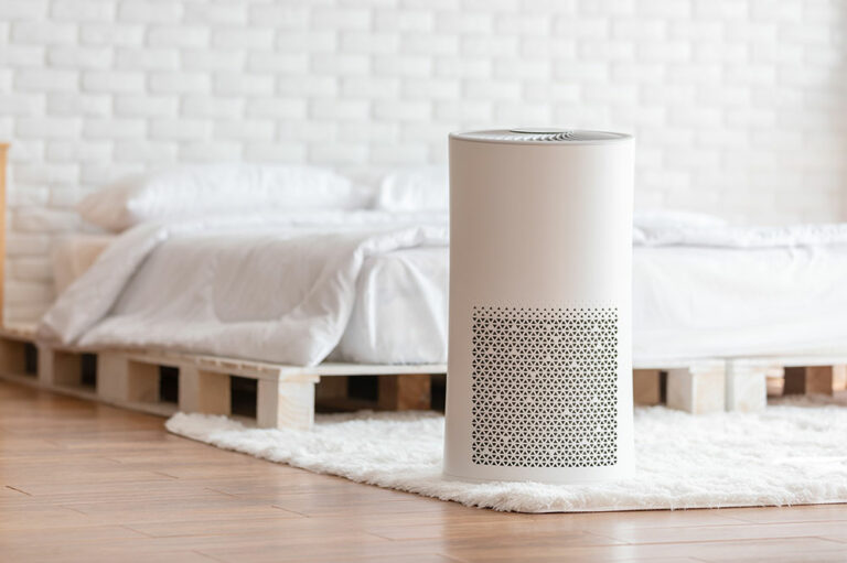 Best Molekule air purifiers of 2021